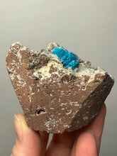 Load image into Gallery viewer, Rare Electric Blue Cavansite on Druzy Matrix – Collector Mineral Specimen | India