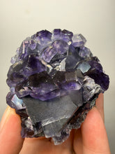 Load image into Gallery viewer, High-Grade “Tanzanite” Fluorite Cluster — Quan Zhou, Yongchun County, Fujian, China | Collector Mineral Specimen