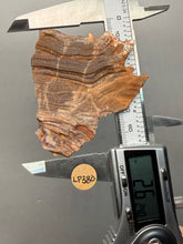 Load image into Gallery viewer, Chalcedony Quartz Rose Agate Collector Mineral Specimen – Morocco