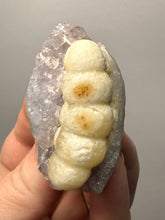 Load image into Gallery viewer, Rare Botryoidal Yellow Fluorite on Quartz Matrix Collector Mineral Specimen – Maharashtra, India