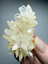 Load image into Gallery viewer, High-Grade Coral Aragonite Crystal Specimen – Wenshan Mine, Yunnan, China