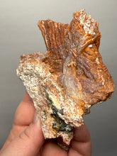 Load image into Gallery viewer, Chalcedony Quartz Rose Agate Collector Mineral Specimen – Morocco