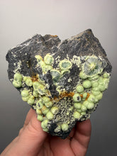 Load image into Gallery viewer, High-Grade Green Wavellite Collectors Specimen - Radiating Botryoidal Crystal Formation - Arkansas, USA