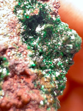 Load image into Gallery viewer, Brochantite Collector Mineral Specimen – Vivid Green Copper Crystals from Morocco