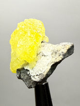Load image into Gallery viewer, Vibrant Yellow Brucite Thumbnail Mineral Specimen | Collector Crystal from Killa Saifullah District in Balochistan Province, Pakistan