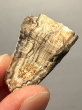 Load image into Gallery viewer, Premium Sumatra Agate (Banded Chalcedony) Display Specimen | Indonesia