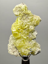 Load image into Gallery viewer, Vibrant Yellow Brucite Thumbnail Mineral Specimen | Collector Crystal from Killa Saifullah District in Balochistan Province, Pakistan