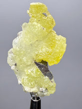 Load image into Gallery viewer, Vibrant Yellow Brucite Thumbnail Mineral Specimen | Collector Crystal from Killa Saifullah District in Balochistan Province, Pakistan