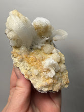 Load image into Gallery viewer, Moroccan Ram’s Horn Selenite (Gypsum) Crystal Display Specimen