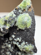 Load image into Gallery viewer, Green Wavellite Cluster Mineral Specimen • Arkansas, USA