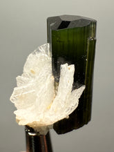 Load image into Gallery viewer, Dark Green Cap Stak Nala Tourmaline with Cleavelandite Flower – Haramosh Mountains, Pakistan | Thumbnail Specimen