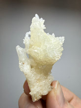 Load image into Gallery viewer, High-Grade Coral Aragonite Specimen | Wenshan Mine, Yunnan, China | Collector Mineral Display