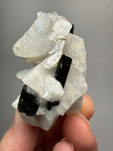 Load image into Gallery viewer, Dark Green Cap Stak Nala Tourmaline with Cleavelandite Matrix – Haramosh Mountains, Pakistan