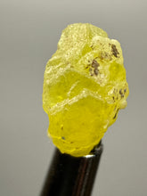 Load image into Gallery viewer, Vibrant Yellow Brucite Thumbnail Mineral Specimen | Collector Crystal from Killa Saifullah District in Balochistan Province, Pakistan