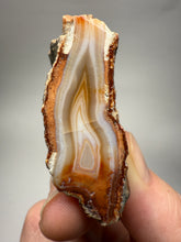 Load image into Gallery viewer, High-Grade Indonesian Sumatra Agate Pair – Vibrant Banded Chalcedony with Rich Color Zoning | Ethical Lapidary & Collector Display Specimens