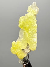 Load image into Gallery viewer, Vibrant Yellow Brucite Thumbnail Mineral Specimen | Collector Crystal from Killa Saifullah District in Balochistan Province, Pakistan