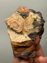 Load image into Gallery viewer, Chalcedony Quartz Rose Agate Collector Mineral Specimen – Morocco
