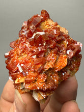 Load image into Gallery viewer, Natural Vanadinite on Matrix | Collector Mineral Specimen | Morocco