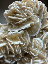 Load image into Gallery viewer, Desert Rose Selenite (Gypsum) — Mineral Display Specimen | Mexico