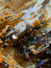 Load image into Gallery viewer, Natural Vanadinite on Matrix | Collector Mineral Specimen | Morocco