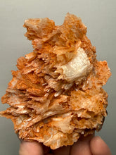 Load image into Gallery viewer, Chalcedony Quartz Rose Agate Collector Mineral Specimen – Morocco