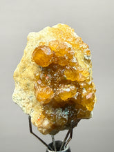 Load image into Gallery viewer, Hessonite Garnet Cluster on Matrix – Thumbnail Collector Specimen from Pakistan | High-Grade Orange-Red Garnet Crystals