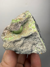 Load image into Gallery viewer, High-Grade Green Wavellite Collectors Specimen - Radiating Botryoidal Crystal Formation - Arkansas, USA