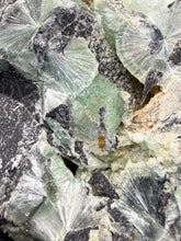 Load image into Gallery viewer, High-Grade Green Wavellite Collectors Specimen - Radiating Botryoidal Crystal Formation - Arkansas, USA