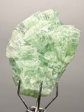 Load image into Gallery viewer, Green Radial “Disco Ball” Apophyllite | Maharashtra, India