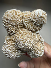 Load image into Gallery viewer, Desert Rose Selenite (Gypsum) — Mineral Display Specimen | Mexico
