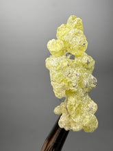 Load image into Gallery viewer, Vibrant Yellow Brucite Thumbnail Mineral Specimen | Collector Crystal from Killa Saifullah District in Balochistan Province, Pakistan