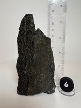 Load image into Gallery viewer, Black Druzy Petrified Wood from Indonesia