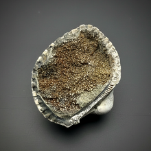 Load image into Gallery viewer, Bivalve (Pelecypoda) Fossil Sea Shell with Chalcopyrite | Mineralized Fossil Specimen | Indonesia
