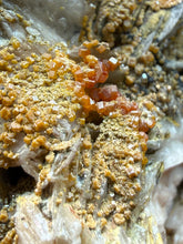 Load image into Gallery viewer, Natural Vanadinite on Matrix | Collector Mineral Specimen | Morocco