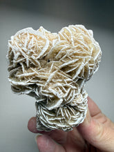 Load image into Gallery viewer, Desert Rose Selenite (Gypsum) — Mineral Display Specimen | Mexico