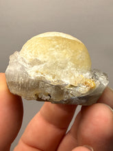 Load image into Gallery viewer, Rare Botryoidal Yellow Fluorite on Quartz Matrix Collector Mineral Specimen – Maharashtra, India