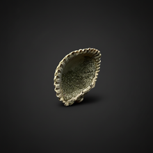 Load image into Gallery viewer, Bivalve (Pelecypoda) Fossil Sea Shell with Chalcopyrite | Mineralized Fossil Specimen | Indonesia