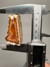 Load image into Gallery viewer, High-Grade Indonesian Sumatra Agate Pair – Vibrant Banded Chalcedony with Rich Color Zoning | Ethical Lapidary & Collector Display Specimens