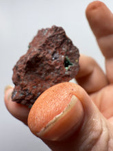 Load image into Gallery viewer, Brochantite Collector Mineral Specimen – Vivid Green Copper Crystals from Morocco