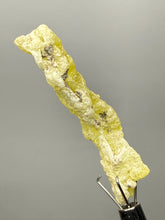Load image into Gallery viewer, Vibrant Yellow Brucite Thumbnail Mineral Specimen | Collector Crystal from Killa Saifullah District in Balochistan Province, Pakistan