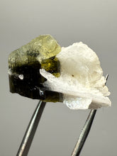 Load image into Gallery viewer, Dark Green Cap Stak Nala Tourmaline and Cleavelandite – Haramosh Mountains, Pakistan | Thumbnail Specimen