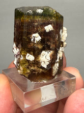 Load image into Gallery viewer, Tri-Color Tourmaline with Feldspar Mineral Specimen – Pakistan