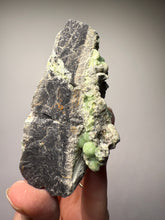 Load image into Gallery viewer, High-Grade Green Wavellite Collectors Specimen - Radiating Botryoidal Crystal Formation - Arkansas, USA