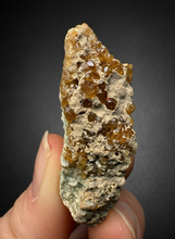 Load image into Gallery viewer, Hessonite Garnet Cluster on Matrix – Natural Collector Specimen from Pakistan | High-Grade Orange-Red Garnet Crystals