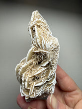 Load image into Gallery viewer, Desert Rose Selenite (Gypsum) — Mineral Display Specimen | Mexico