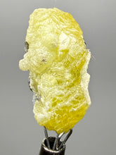 Load image into Gallery viewer, Vibrant Yellow Brucite Thumbnail Mineral Specimen | Collector Crystal from Killa Saifullah District in Balochistan Province, Pakistan
