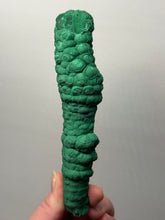 Load image into Gallery viewer, 6.1” High-Grade Malachite Stalactite Botryoidal “Cave” Formation | DR Congo | Mineral Collector Specimen