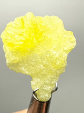 Load image into Gallery viewer, Vibrant Yellow Brucite Thumbnail Mineral Specimen | Collector Crystal from Killa Saifullah District in Balochistan Province, Pakistan