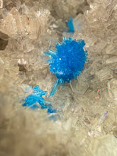 Load image into Gallery viewer, Rare Electric Blue Pentagonite & Cavansite on Druzy Matrix | Collector Mineral Specimen | Wagholi Quarry, India