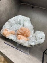 Load image into Gallery viewer, FINE MINERAL | Gem Apophyllite with Spectacular Pink Stilbite Flower | Maharashtra, India